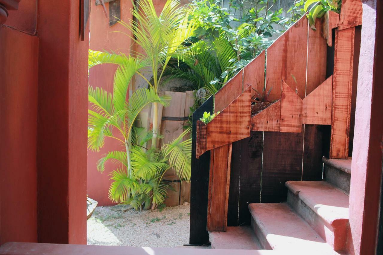 Black Jaguar Hostel Bacalar Exterior photo